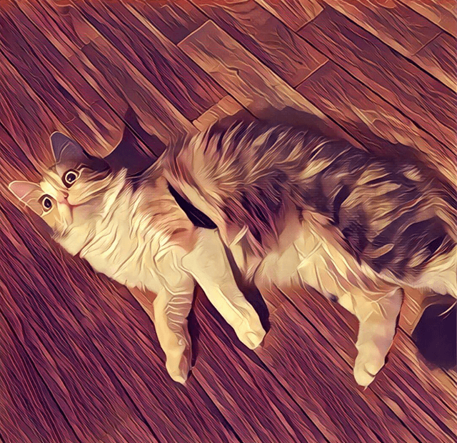 filtros prisma