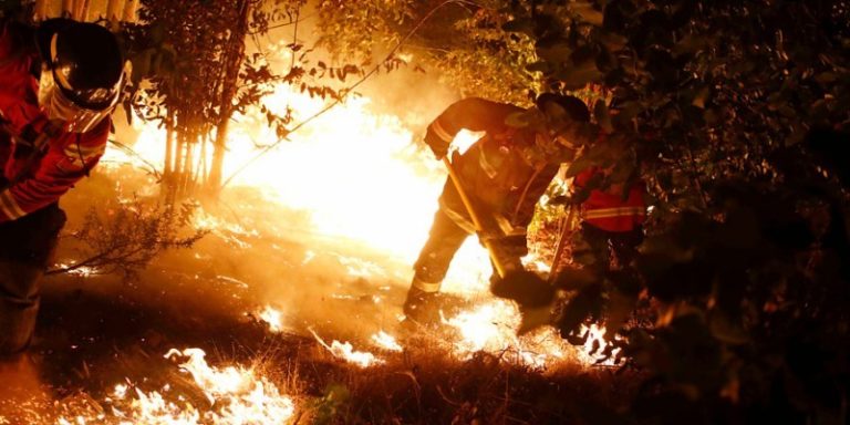 incencio en pumanque