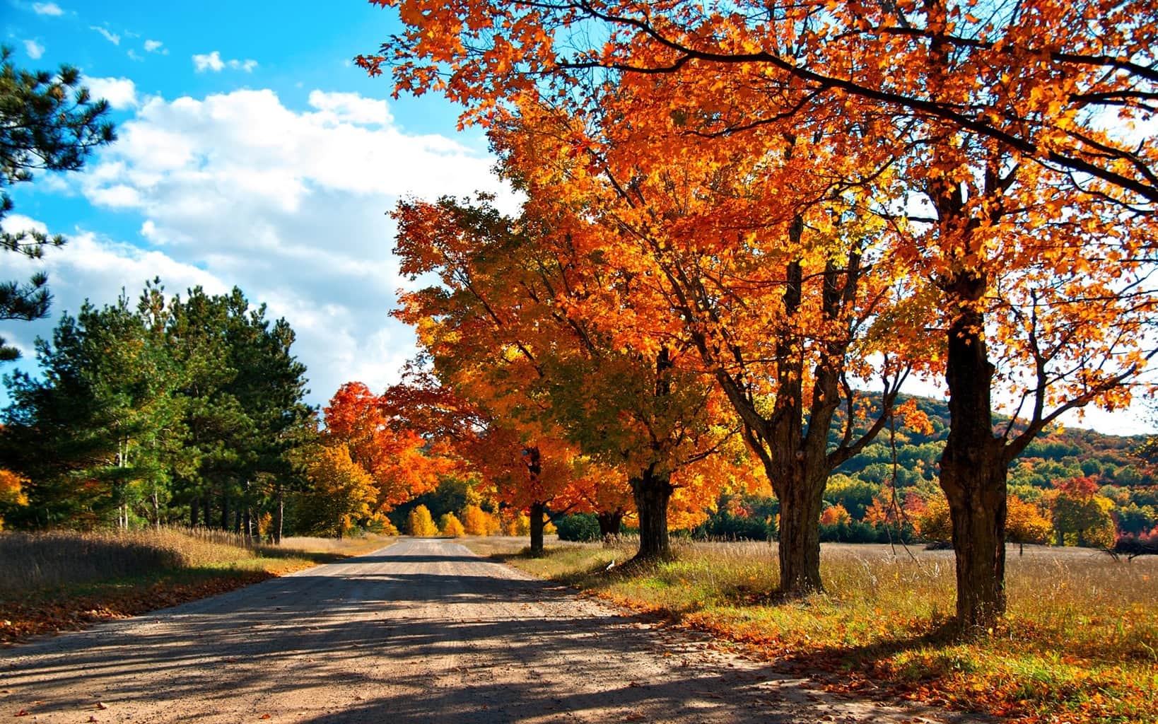 foto de otoño