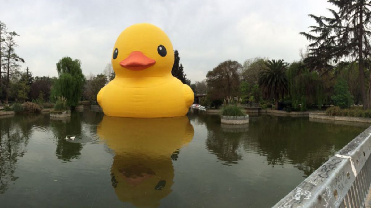 patito de hule gigante