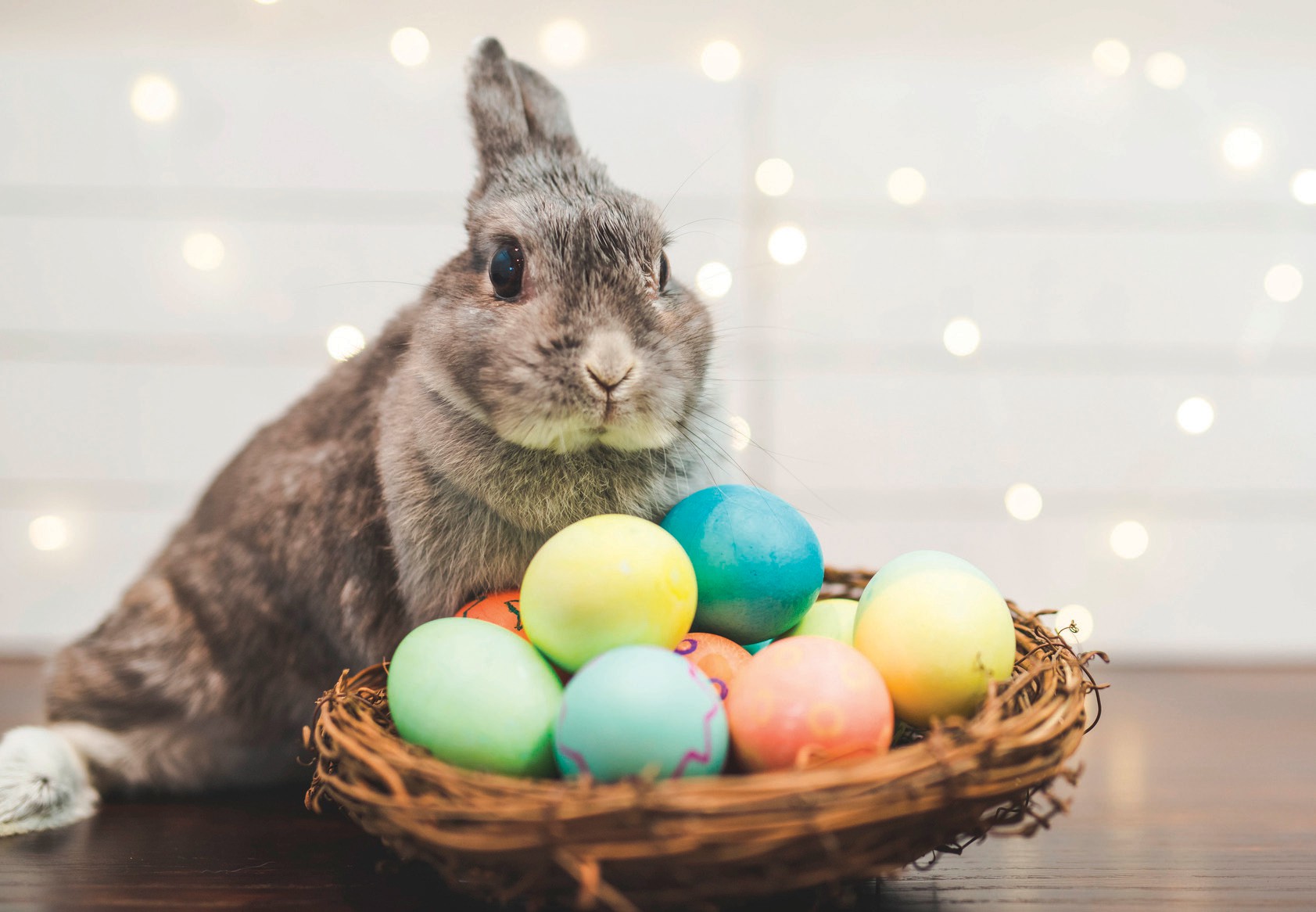 origen del conejo de pascua